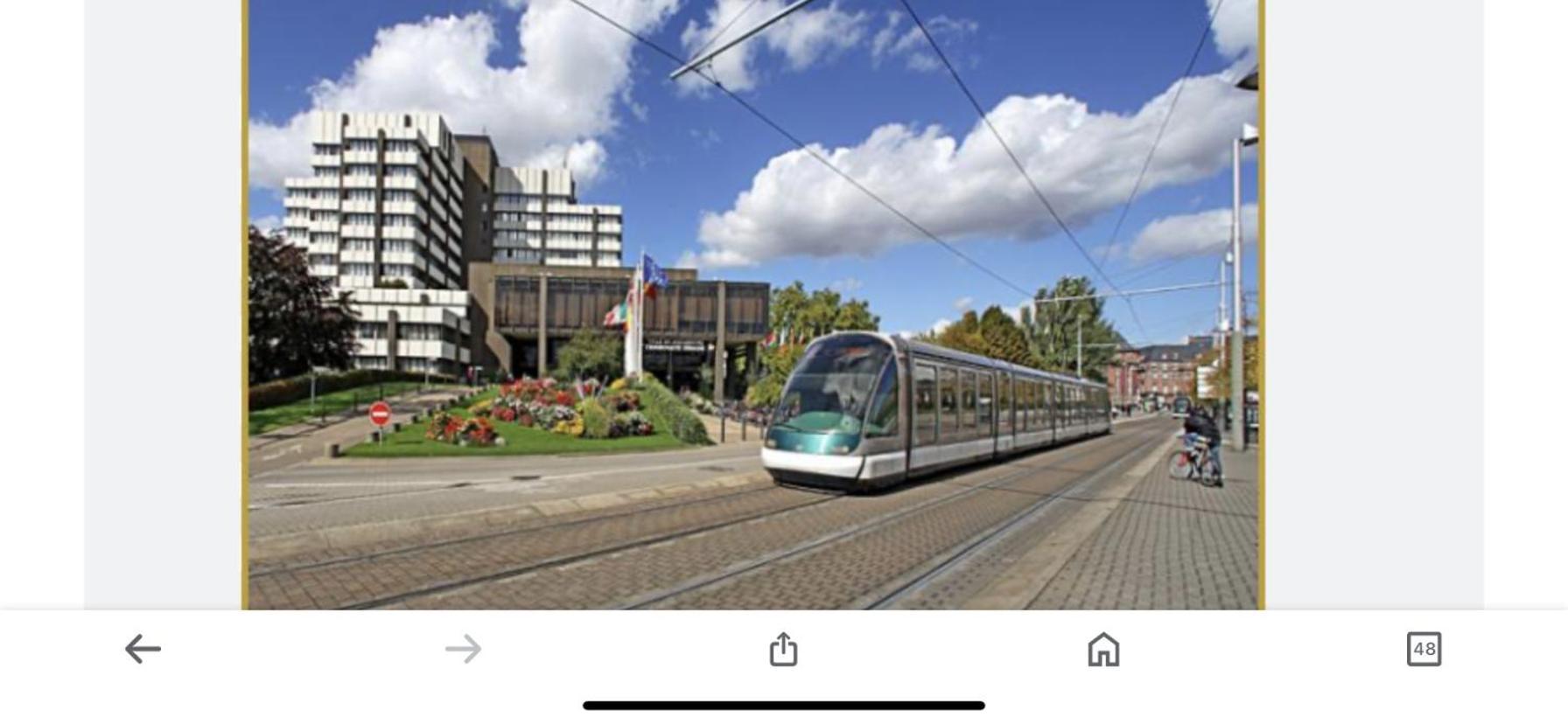 Le Carre Des Oiseaux Apartment Strasbourg Ngoại thất bức ảnh