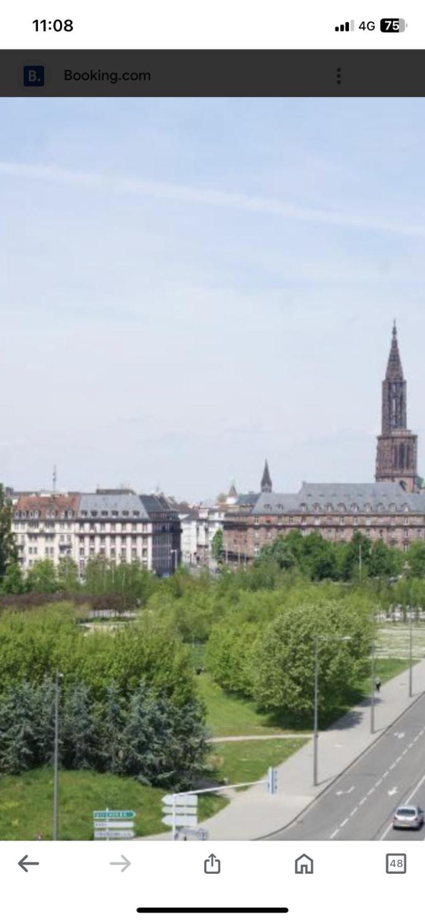 Le Carre Des Oiseaux Apartment Strasbourg Ngoại thất bức ảnh