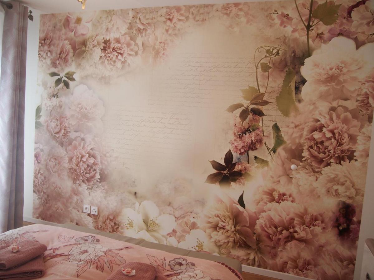 Le Carre Des Oiseaux Apartment Strasbourg Ngoại thất bức ảnh