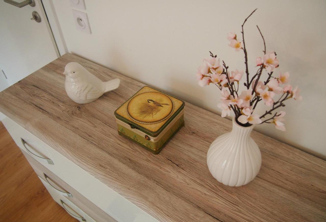 Le Carre Des Oiseaux Apartment Strasbourg Ngoại thất bức ảnh