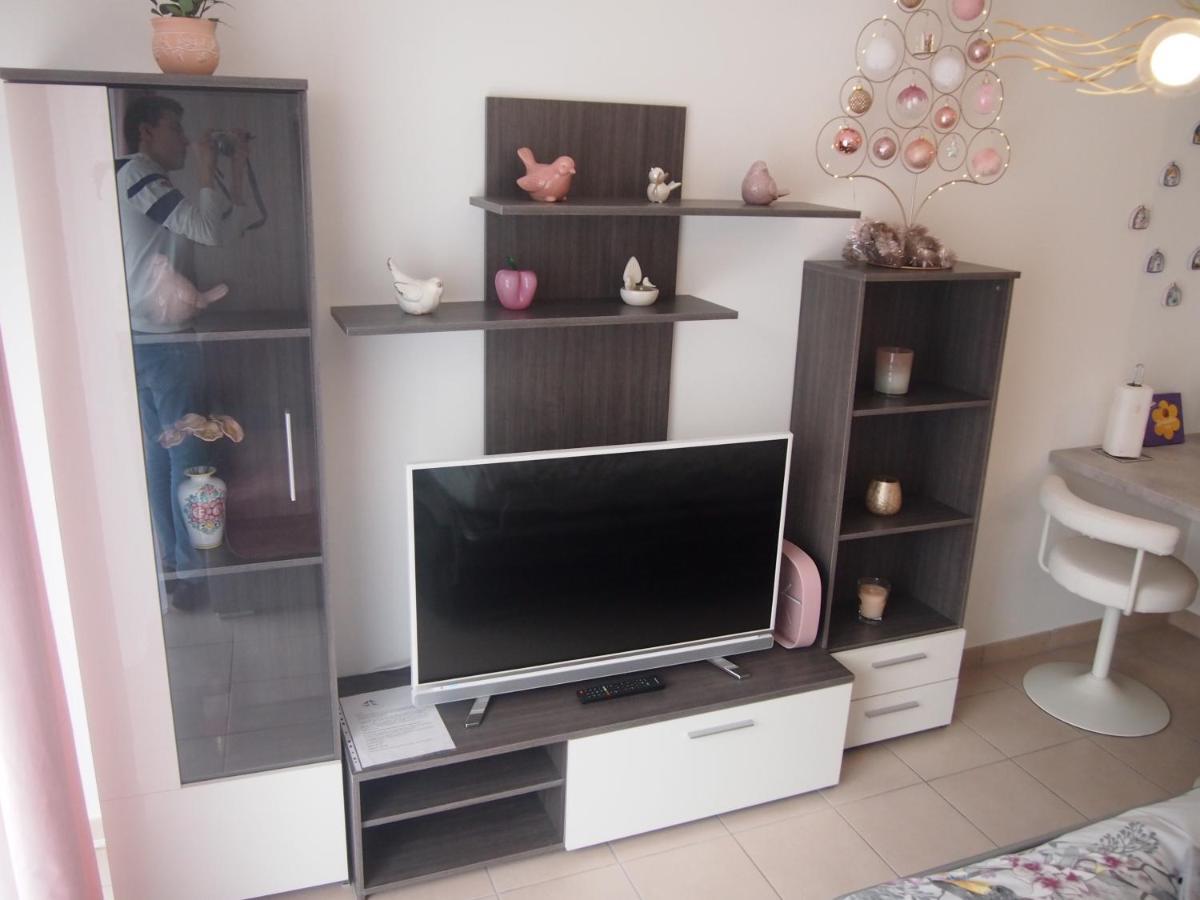 Le Carre Des Oiseaux Apartment Strasbourg Ngoại thất bức ảnh